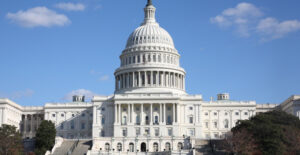 the government issues bonds