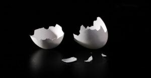 broken egg shells show what can happen to bones durning osteoporosis