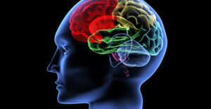 a 3D image of the brain searches for signs of multiple sclerosis
