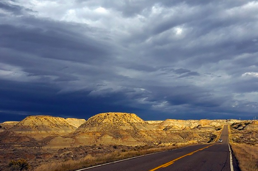 Hell Creek Formation, Montana