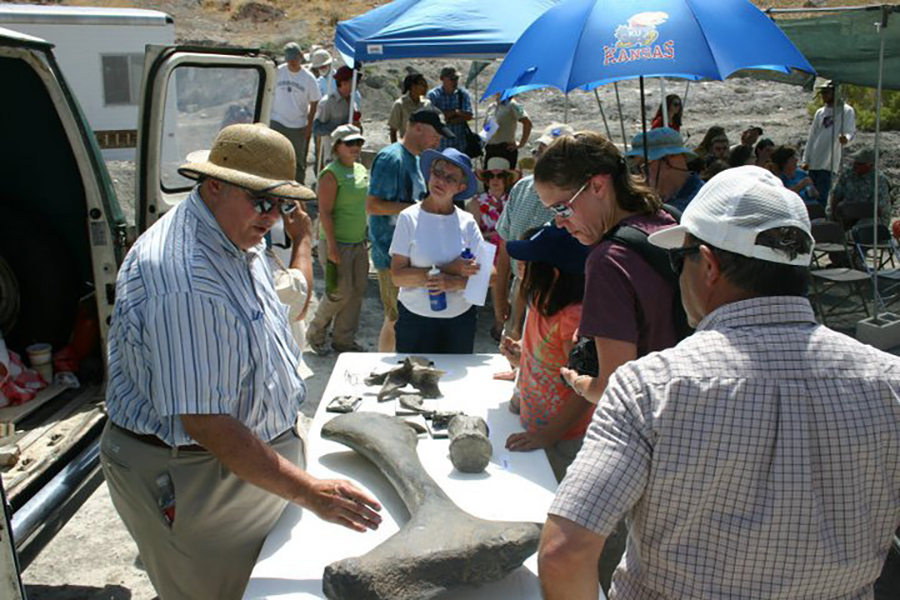 2. Dinosaur Dig with the Museums of Western Colorado