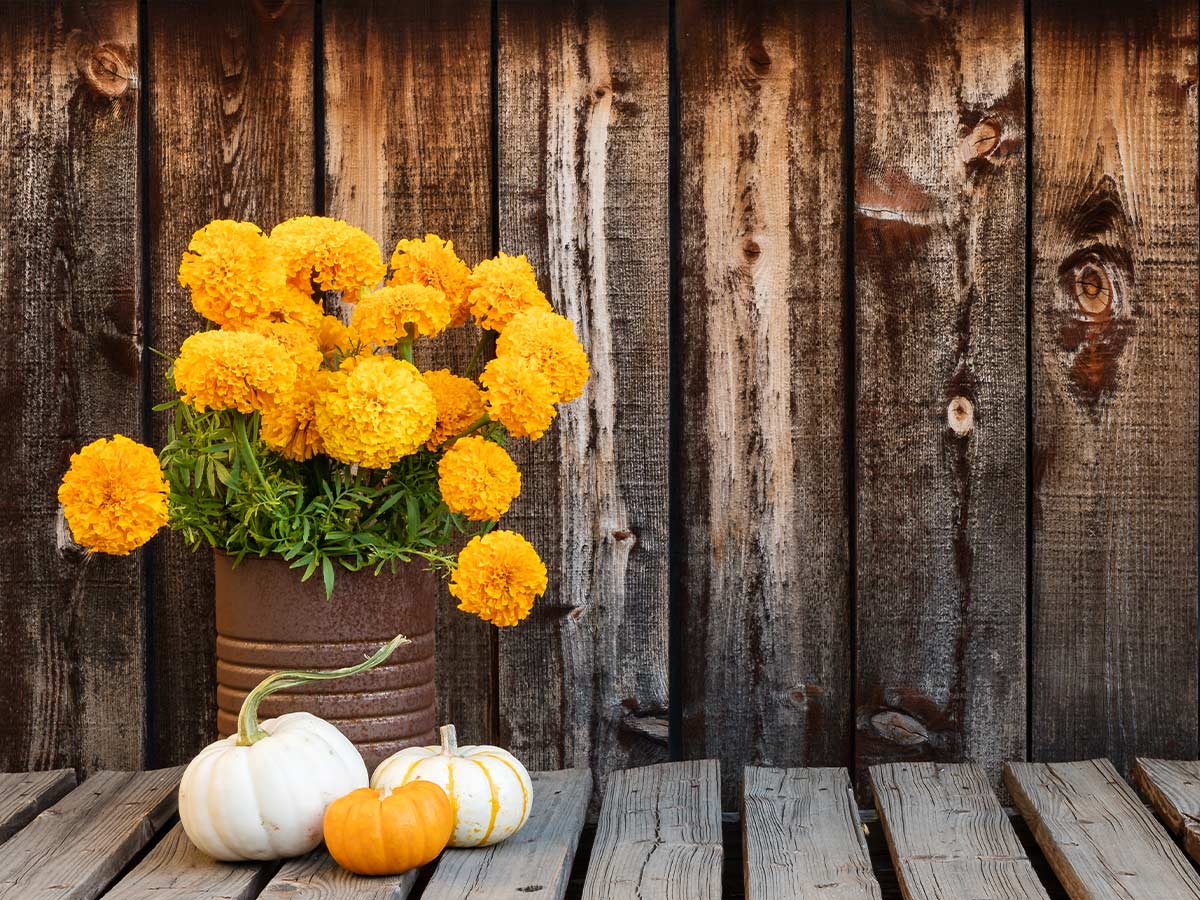Put Flowers in Vintage Tins