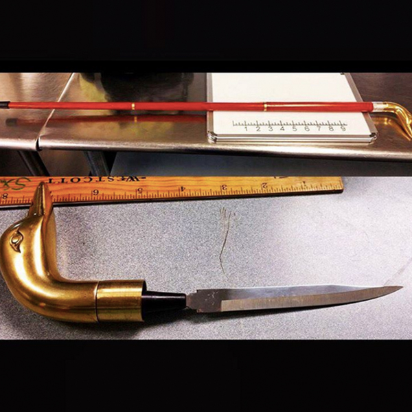 Knife in a Cane