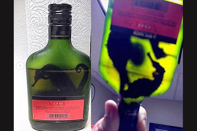 Bottle of Seahorses