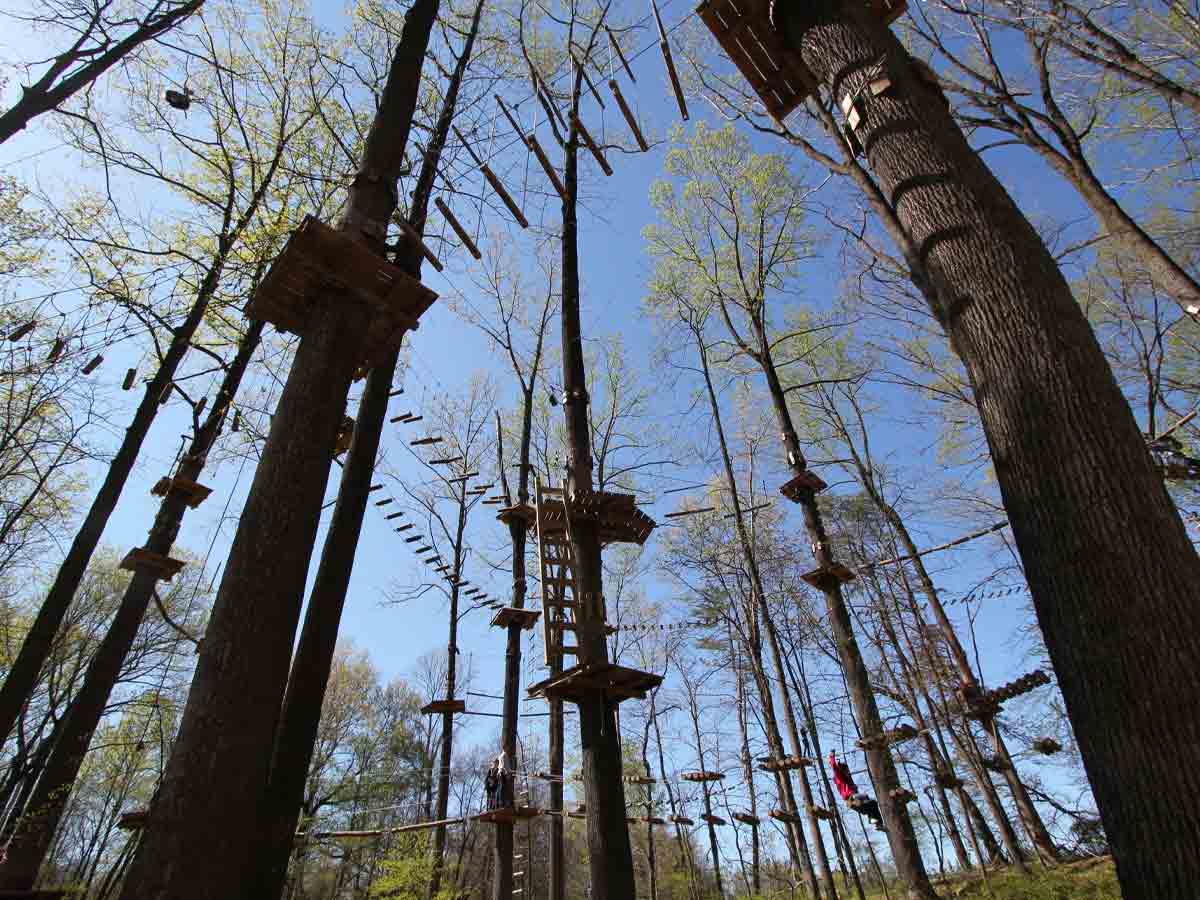 3. Adventure Park at the Discovery Museum