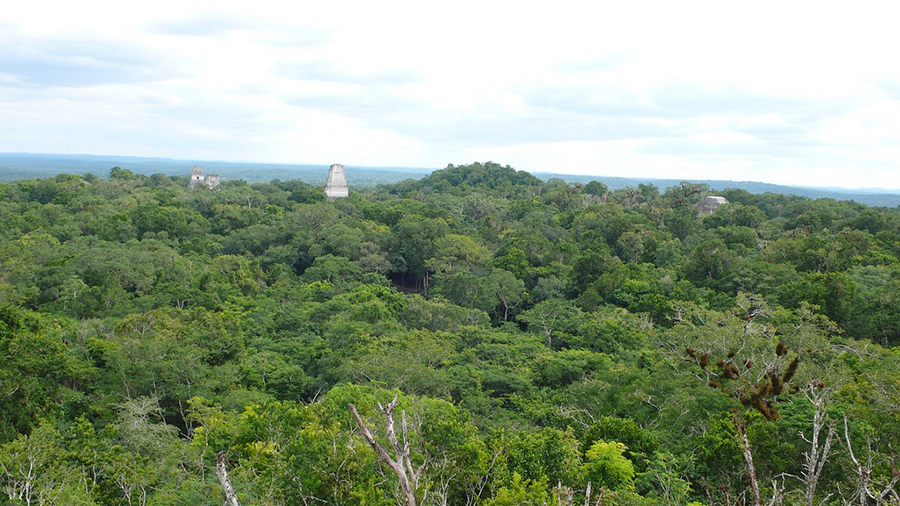 Tikal, Guatemala