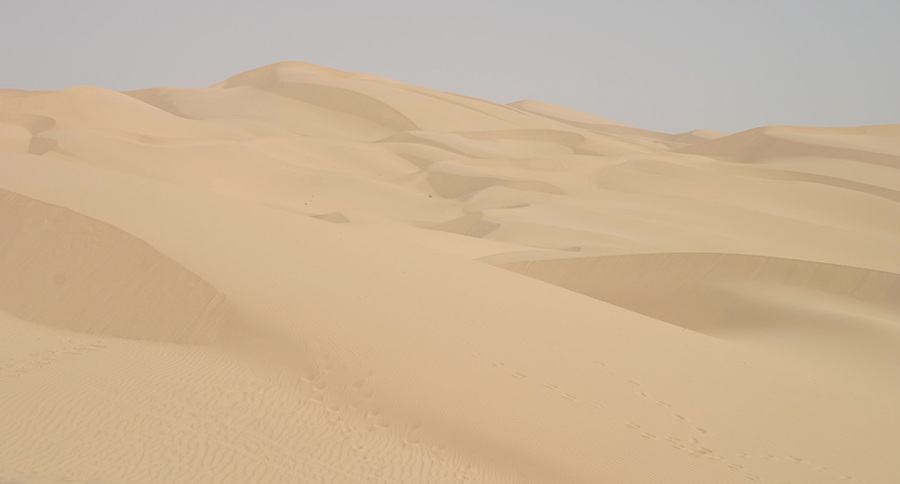 Yuma Desert, Arizona