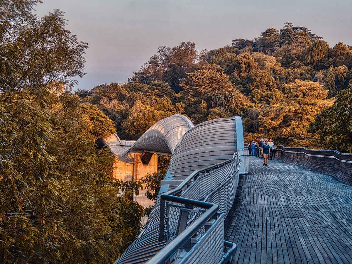Henderson Waves