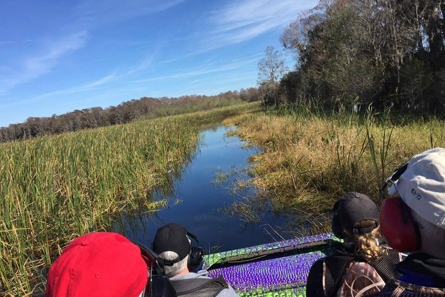 3. Alligator Cove Airboat Nature Tours