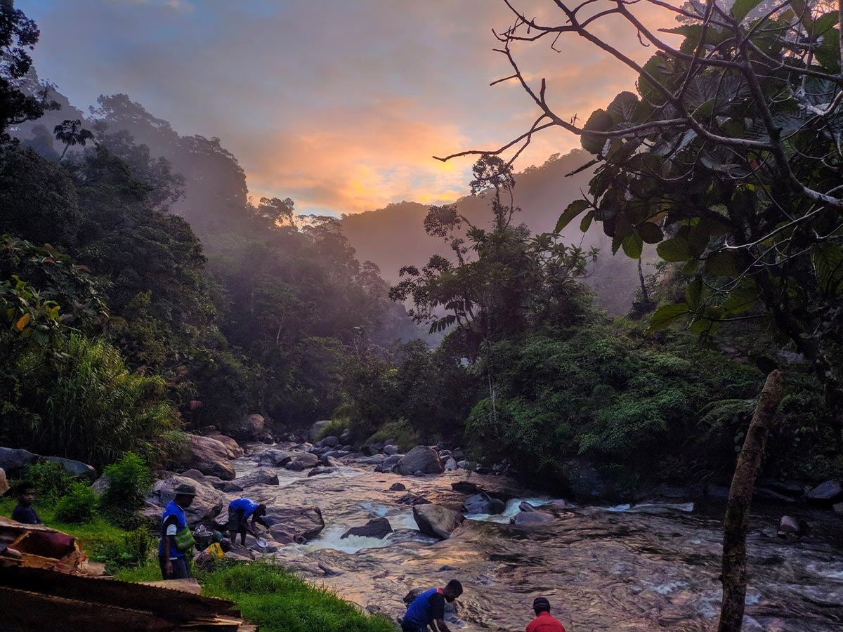 The Kokoda and Black Cat Trails