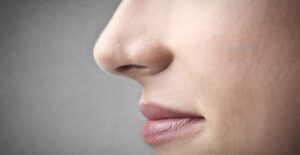 A womans nose