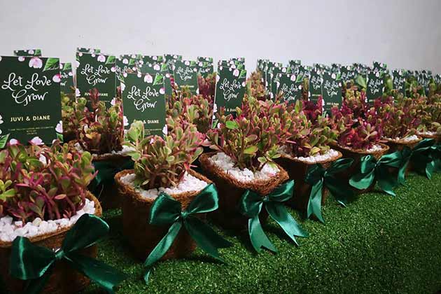Consider giving plants.