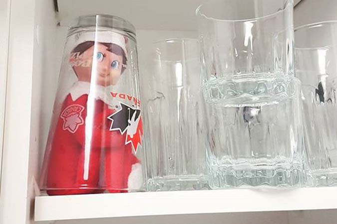 In the Cupboard