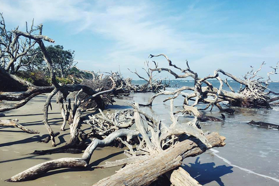8. Driftwood Beach