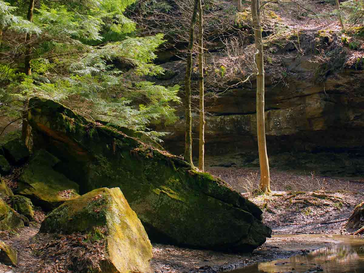 6. Turkey Run State Park