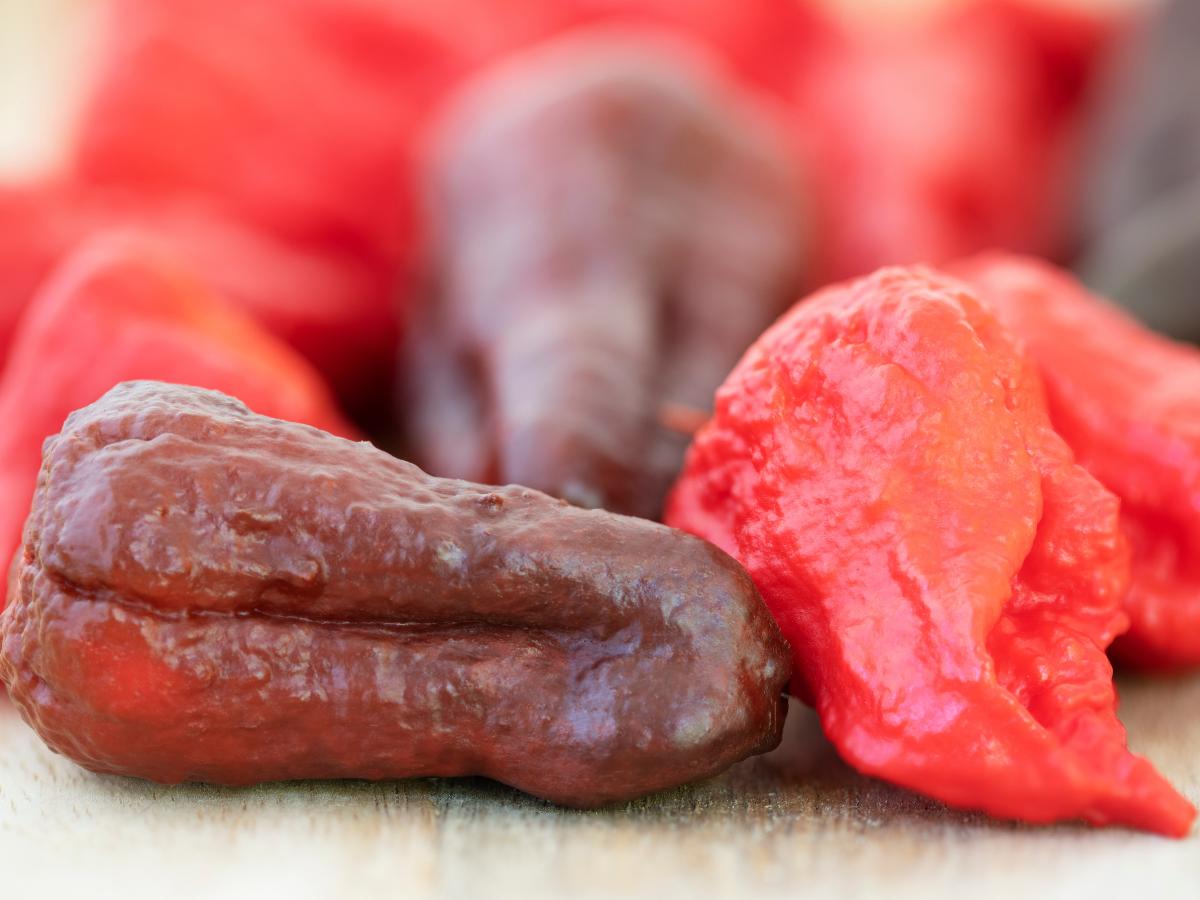 Dragon's Breath Pepper