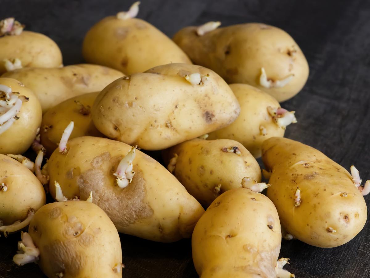 Potatoes