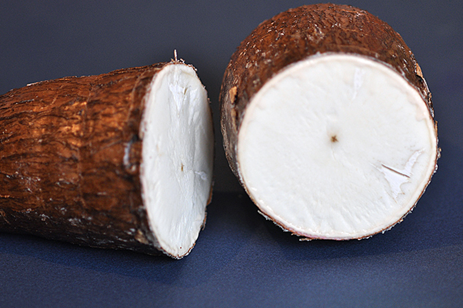 Cassava
