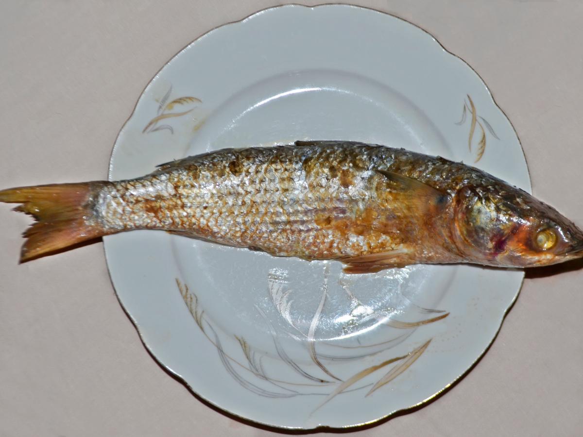 Fesikh