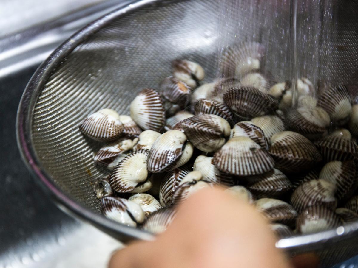 Blood Clams