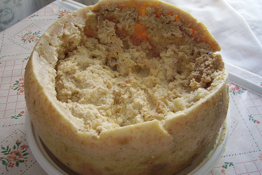 Casu Marzu