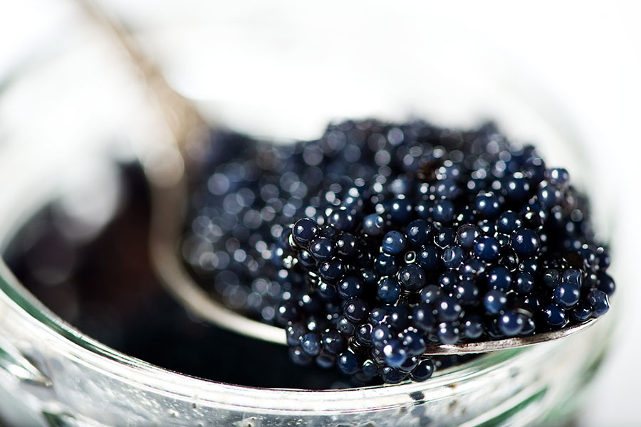 Caviar - $500