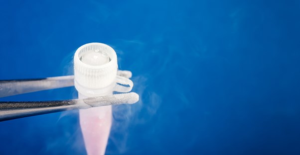 A vial of stem cells