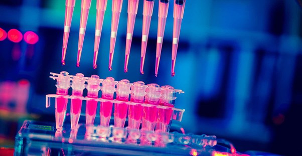 Some stem cell research