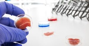 A scientist performs stem cell research
