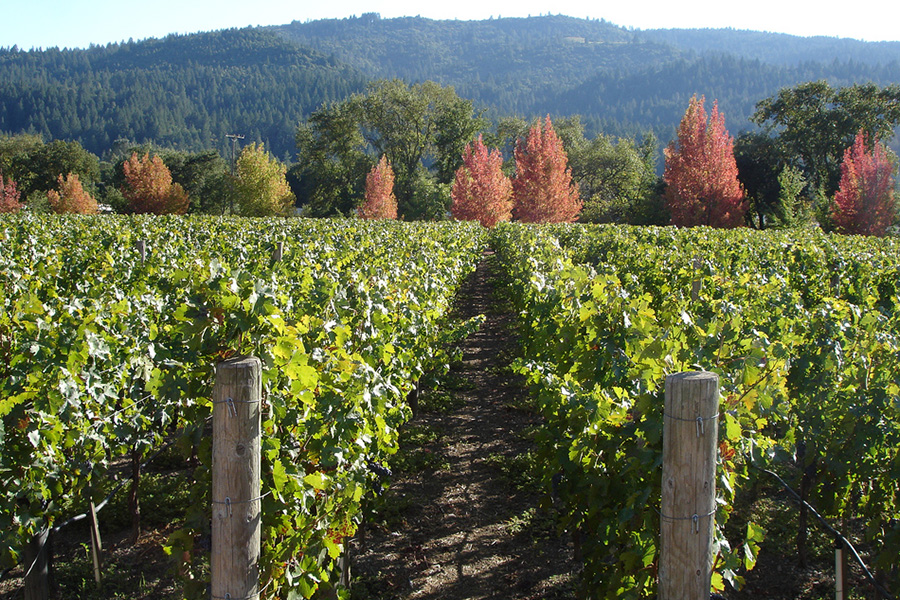 8. Napa Valley, CA