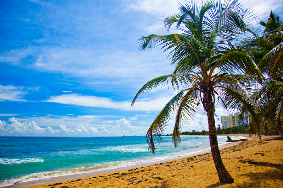 6. Puerto Rico