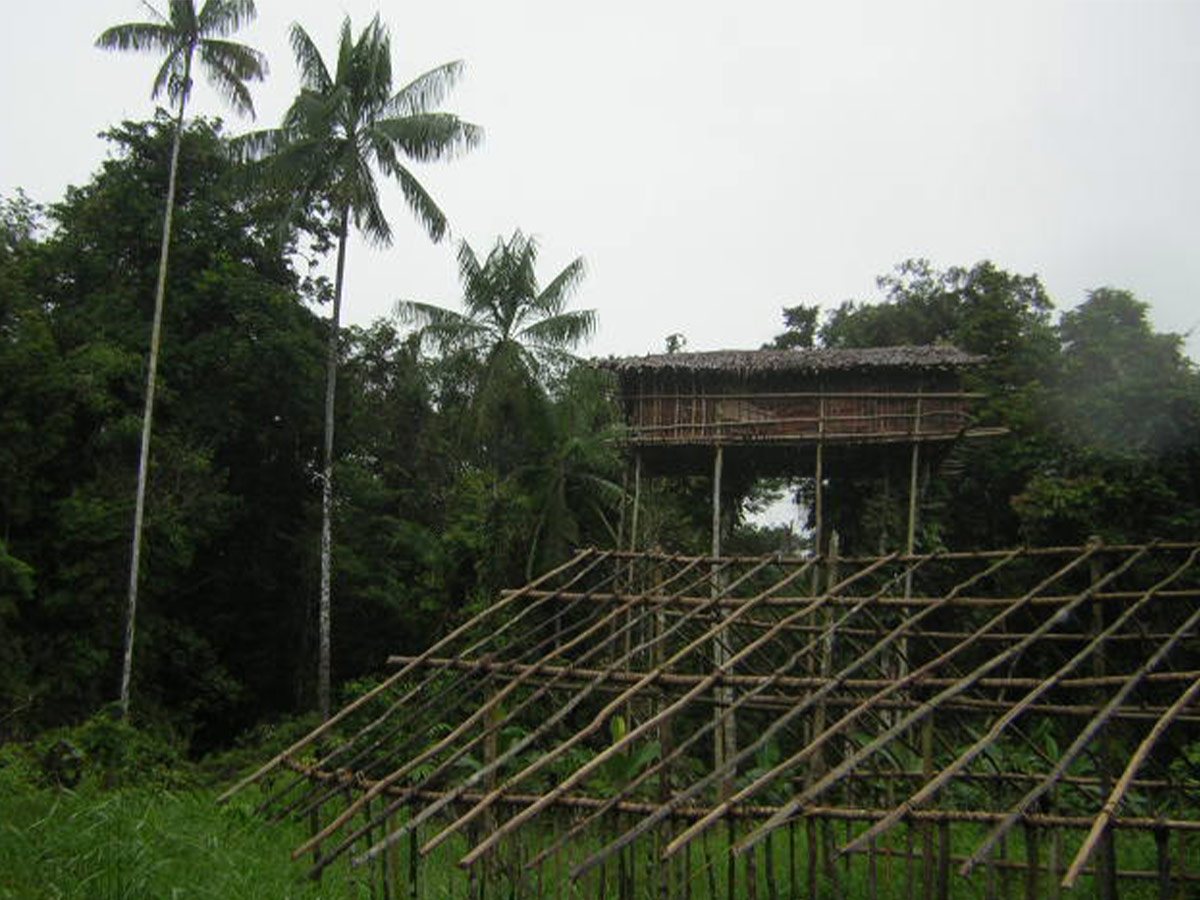 Korowai People