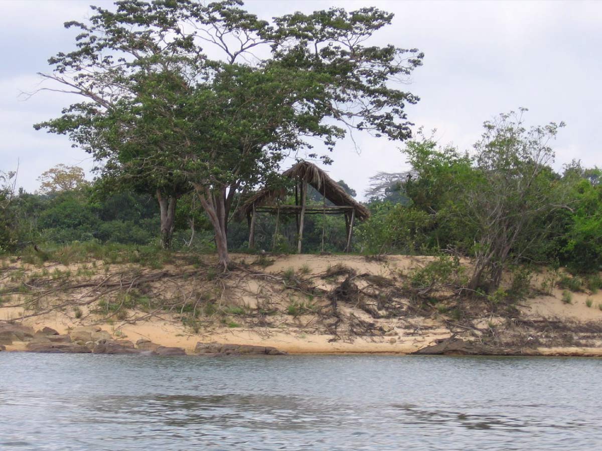 Awá