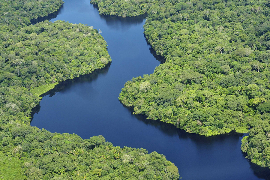 Brazil's Uncontacted Tribes