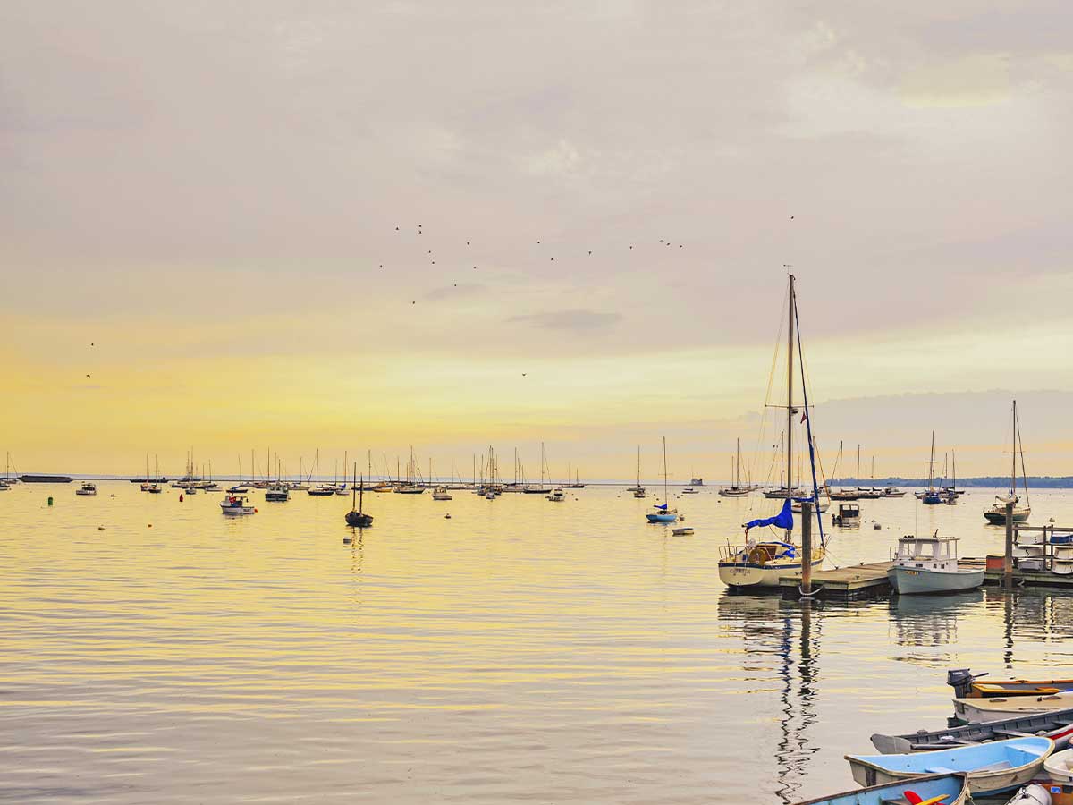 6. Bufflehead Sailing Charter