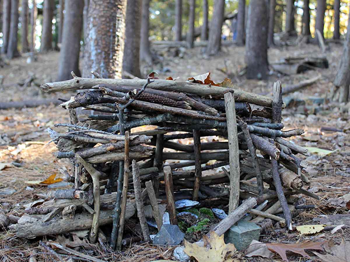3. Build a Fairy House on Mackworth Island