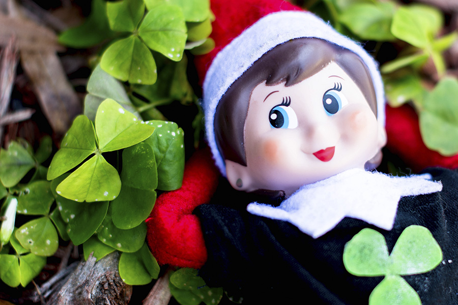 Hiding in a Cloverpatch