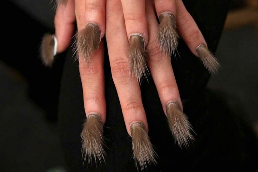 Fur