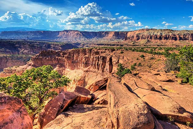 Capitol Reef National Park