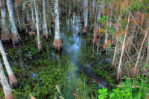 Everglades National Park