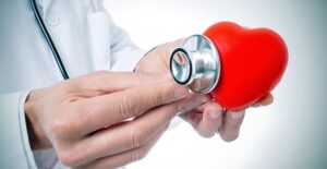 A doctor examines a fake heart