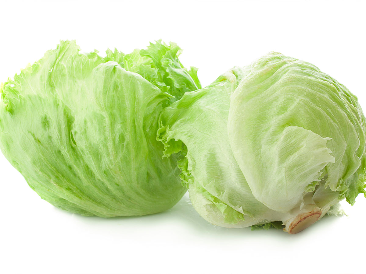 Two Heads of Lettuce