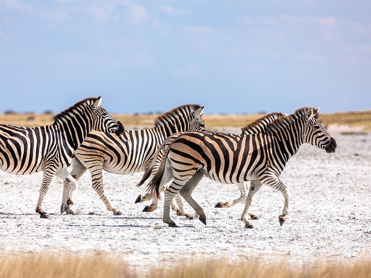 8. Makgadikgadi Pan