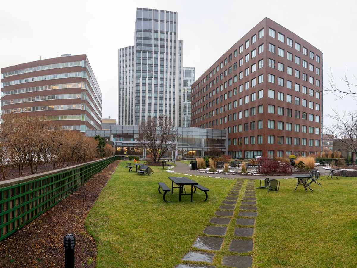 1. Cambridge Center Roof Garden