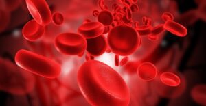A group of red blood cells