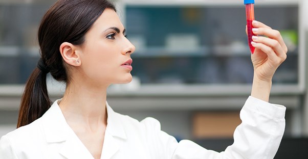 A doctor studies blood