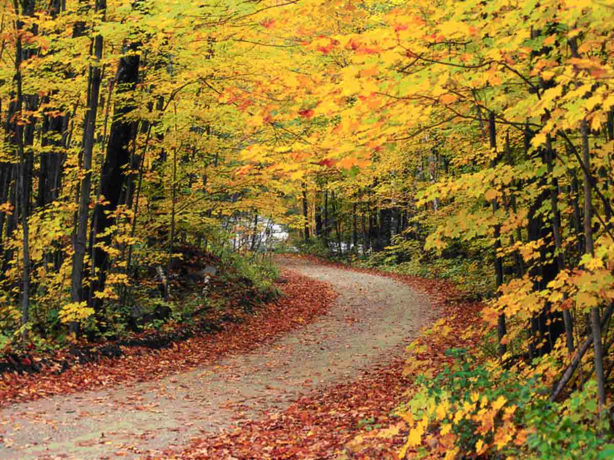 9. Green Mountain National Forest