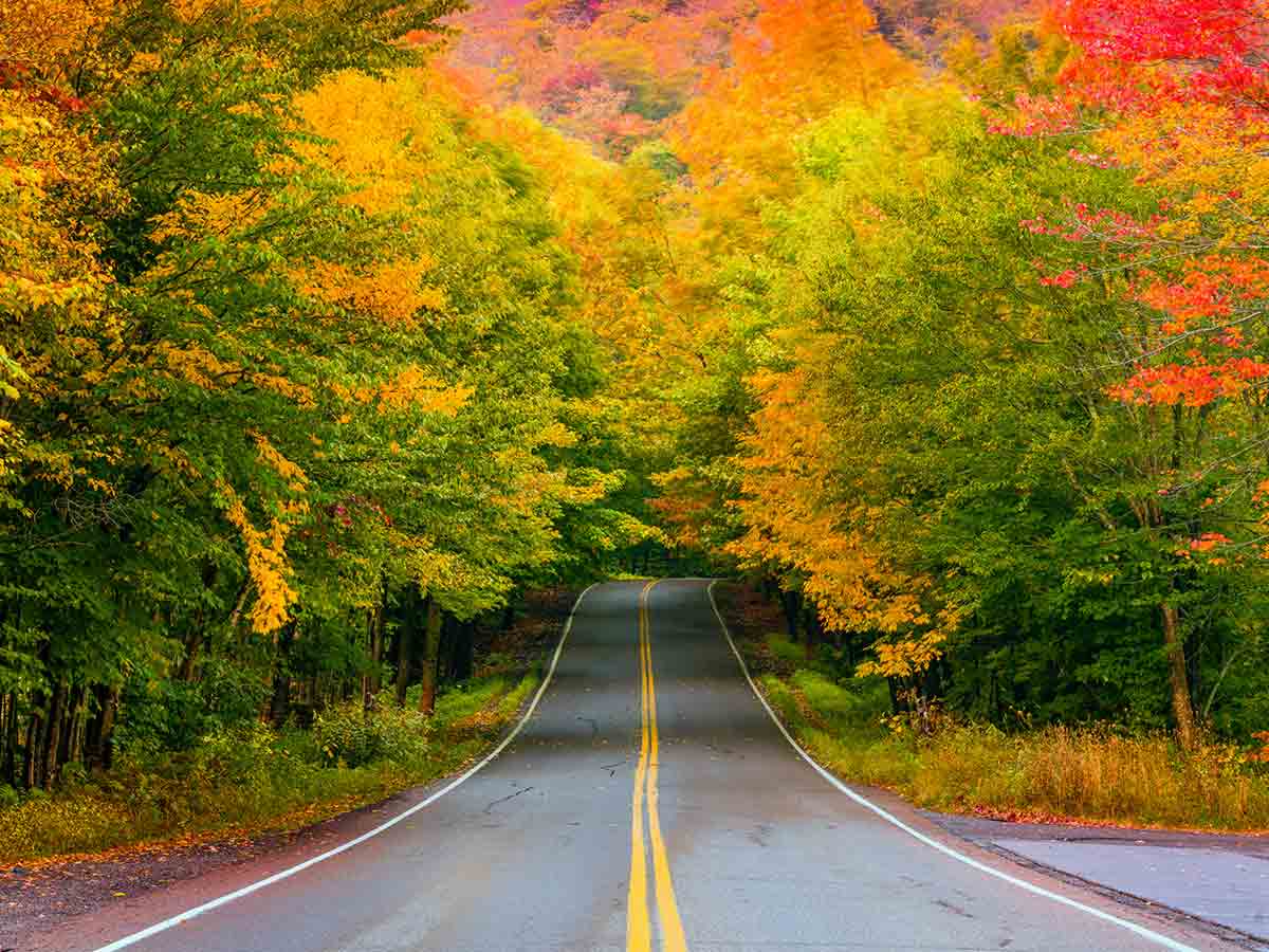 6. Drive the Highways