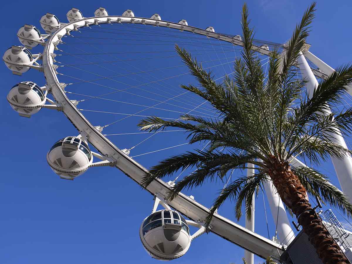 1. The High Roller