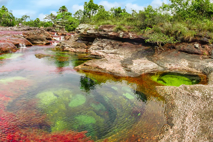 Caño Cristales, Colombia